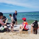 소소한 행복 초록일기 이미지