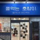 풀먹는호랑이무거점 | 울산 무거동 5번 포장해서 먹은 다이어트 샌드위치 & 샐러드 그리고 쌈밥! : 풀먹는 호랑이 (내돈내산)