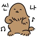 제주 호박 민박 이미지