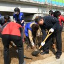 행복나무 이미지