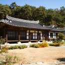 [종갓집 손맛] 닭실마을 동곳떡