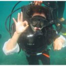 종일코스 이미지