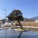 윤지애견 | 전남 담양 대형카페 베이커리 맛집, 카페 밀 🌿