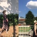 플레이먼트