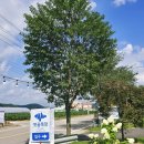 벗골목장 이미지