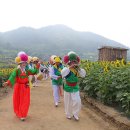 해바라기의꿈 이미지