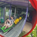 하평13-23 농로 | 250715~16(2일차 묵호) | 무릉별유천지 알파인코스터 / 하평해변 기찻길 / 논골담길 / 도째비골 해랑전망대