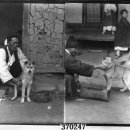 1937년 유리건판 사진 분석 이미지
