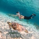 브릿지 | 스노쿨링 마스크 추천 발리 거북이 스노쿨링 아이스브릿지 사용 후기