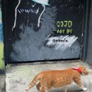 죠이랜드 | 말레이시아 3일차 #쿠알라룸푸르(마그넷, 쿠알라룸푸르 시내 구경)