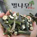 산드리약초