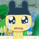 해피하모니 이미지