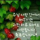 꼬망쎄 - 구리시 | 꼬망쎄