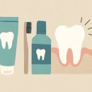 오아시스치과의원 | 병점치과 찾기 전 치아시림 원인과 치아관리 루틴 정리