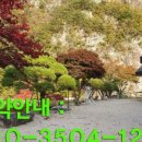 금수사우나 이미지