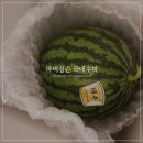 국대농장 | 수박배송 추천 아삭하고 달콤한 파머심슨 국대수박 후기