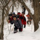 정기산행기(각호산~민주지산~석기봉~삼도봉) 이미지