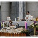 분당요한성당 이미지