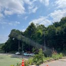 나은병원 앞 이미지