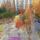 구봉마을7단지 이미지