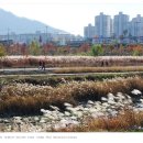 강변자전거길 2 이미지