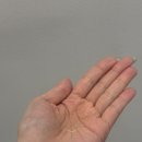 티앤제이카-케어링크 | 디어마이듀 하이시카 수딩 토너 여름 붉은기 토너 속건조 케어 후기