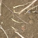 푸른솔 농장 이미지