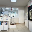 이쁘냥 고양이미용실 서대문점 이미지