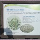신안갯벌박물관 이미지
