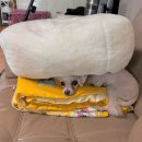 안골세차장 | 9月 데일리티。②