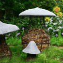 정원인터내셔날 이미지