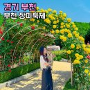 부천북고등학교 | 부천 백만송이 장미원 장미축제 실시간 주차 꽃구경