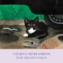 ㅁ이것은 한 마리 아기 고양이 이야기가 아닙니다//랜달 드 세브/키슨엘리스/봄볕/ 2025-11-17 이미지