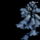 경기도 수원시 권선구 구운로64번길 31-2 | 거동 힘드신 부모니 계시다면 권선구 추천 요양원 쥬빌리요양원 안전하고 편안한 선택