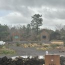 임미임미 이미지