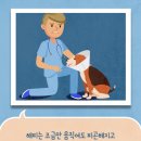 치유동물병원 이미지