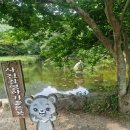 백양사(천안) | 고창 장성 백양사 천년고찰의 감성여행/팔도 장터 열차 추천코스