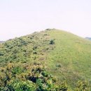 동편목장 이미지