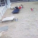 보고유치원 이미지