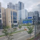 정율성 선생 거리 | 은퇴하면 뭐 하지? (독서.96)