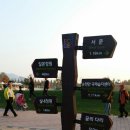 제주이글여행사