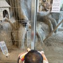 버드 - 삼척시 척주로 10 | 돌 전 아기랑 오산버드파크 후기｜오산시청 물놀이장까지 한 번에 즐기기