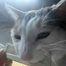 아진동물병원 이미지