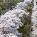 종로-종로-종로-종-173 이미지