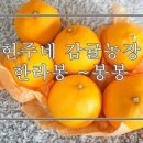 현주네과일 - 중랑구 중랑역로 43 | 현주네과일