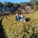 구민시술원 이미지