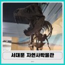 서대문자연사박물관 | 서울 아이랑 가볼만한 곳 | 서대문자연사박물관 솔직 후기 무료 관람 팁