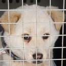 대성동 행정복지센터 이미지