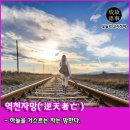 자망