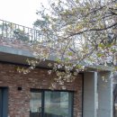 카페 봄 이미지